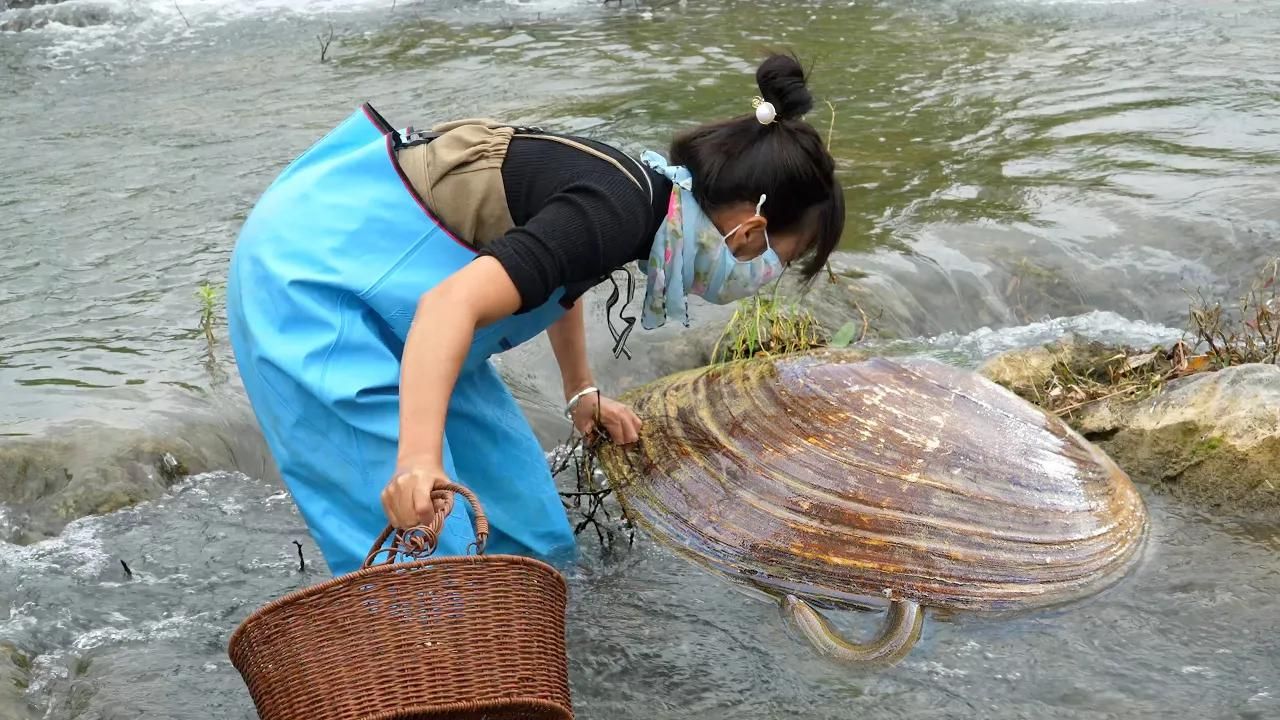 珍藏豪蚌——女孩捡到超大蚌壳,开启了财富之旅!哔哩哔哩bilibili