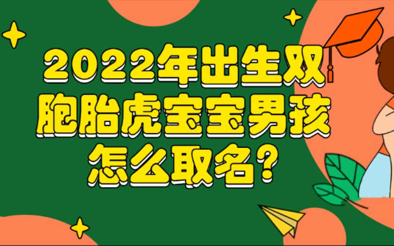 2022年出生双胞胎虎宝宝男孩怎么取名?哔哩哔哩bilibili