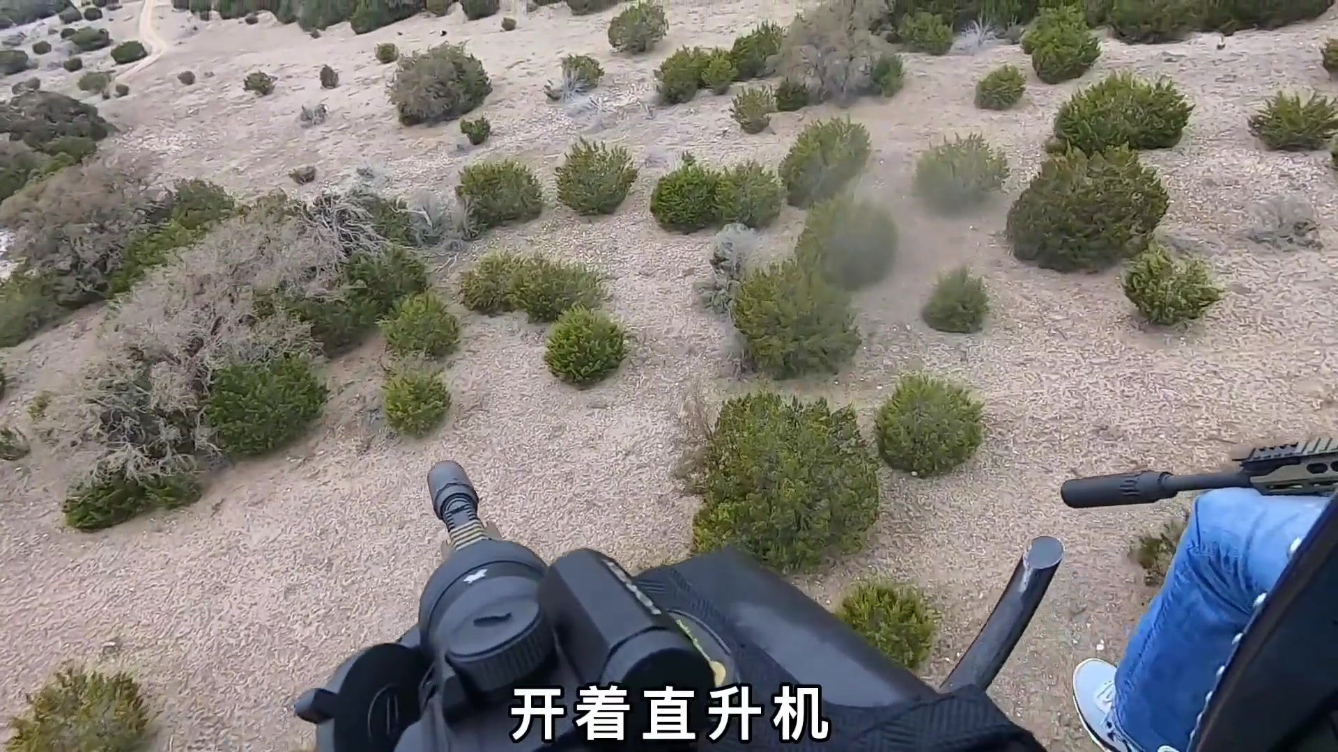 利用直升机狩猎野猪这样的操作还是第一次见.