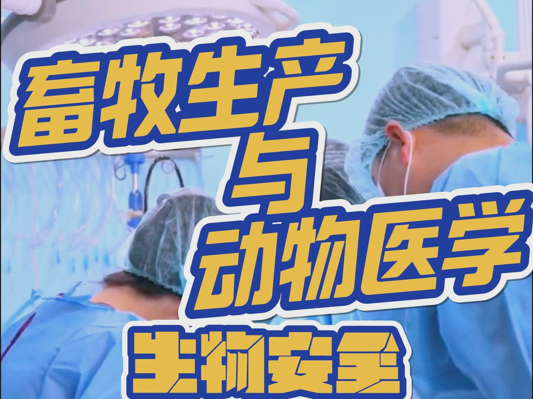 畜牧生产与动物医学的生物安全问题哔哩哔哩bilibili