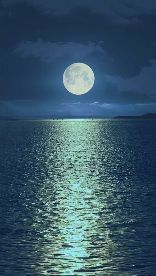 竖屏空境海上明月