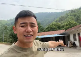 Video herunterladen: 返乡创业也要多元化才能走的长久，皖西谢有才养鸡的同时也在卖茶