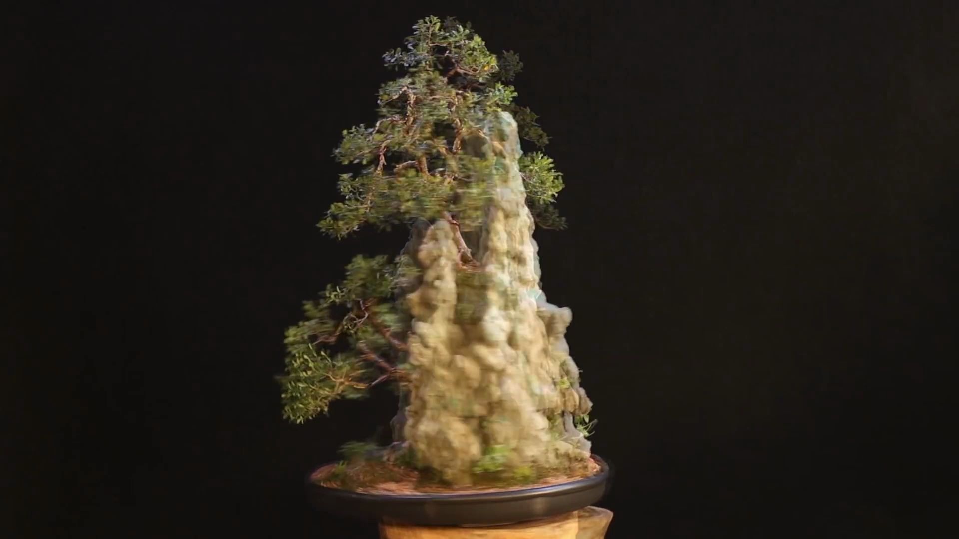 盆景泡沫与树_哔哩哔哩 (゜-゜)つロ 干杯~-bilibili