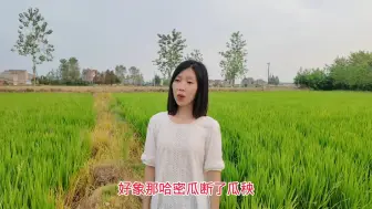 Download Video: 一首《怀念战友》歌声真是动人心弦