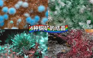 Download Video: 【矿晶展示】4种铜矿的纤维状/针状结晶