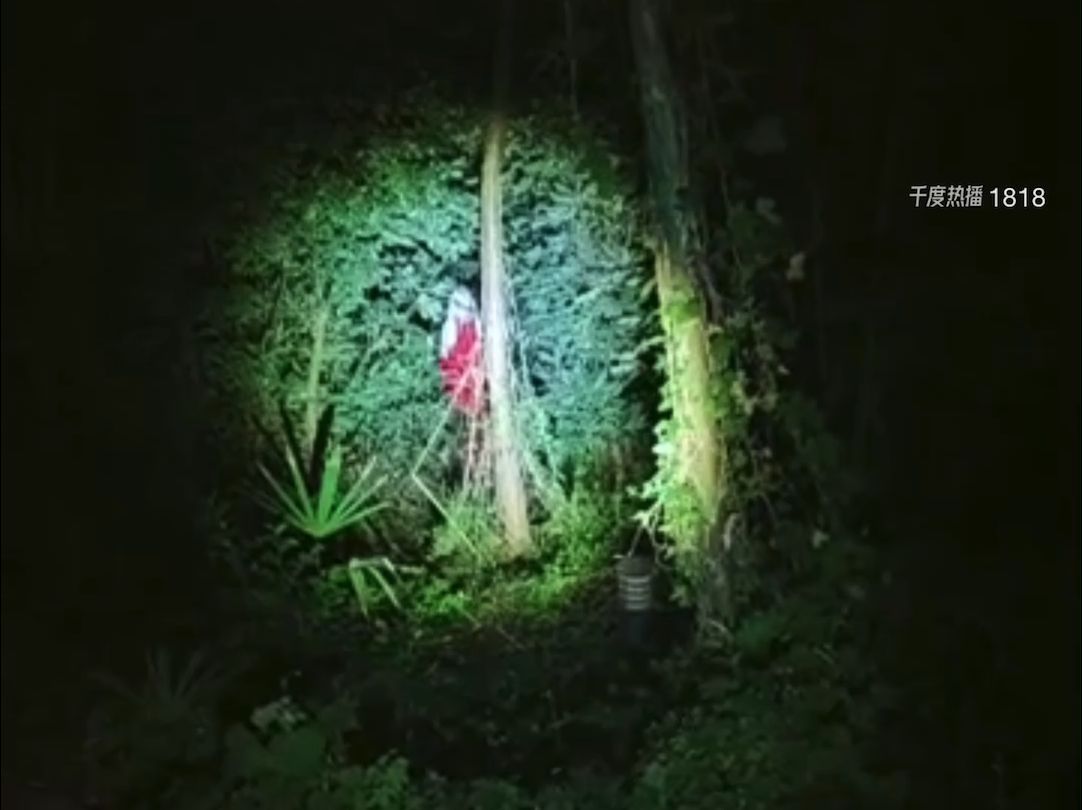 2024-07-30千度户外洋子探险恐怖酒店灵异事件(千度平台直播,房间号