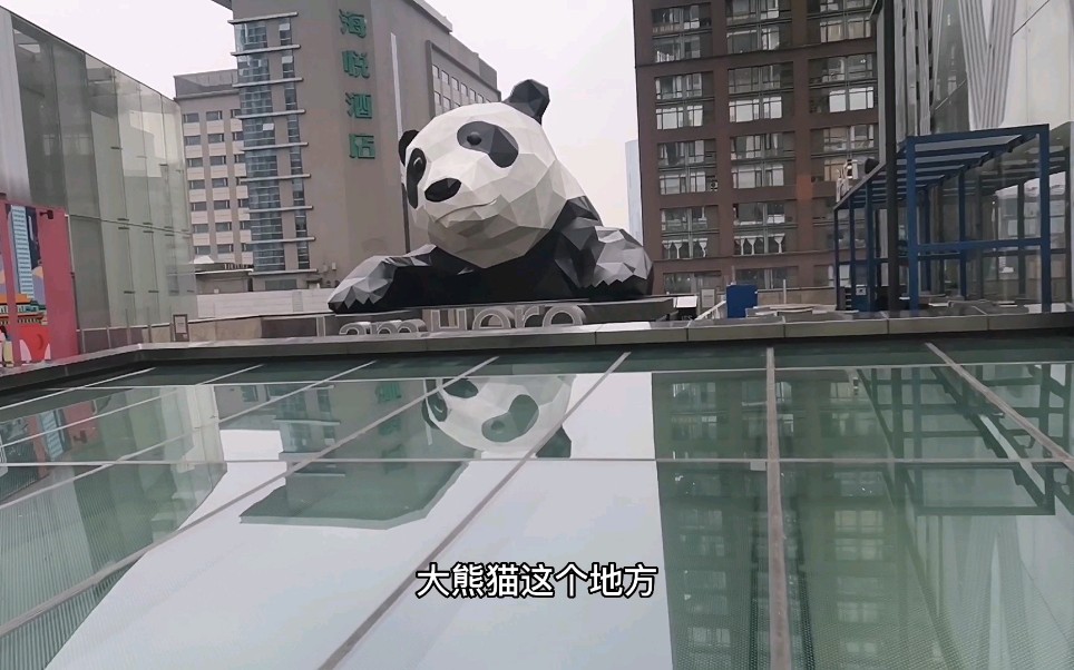 成都春熙路,国宝大熊猫,好可爱_哔哩哔哩_bilibili