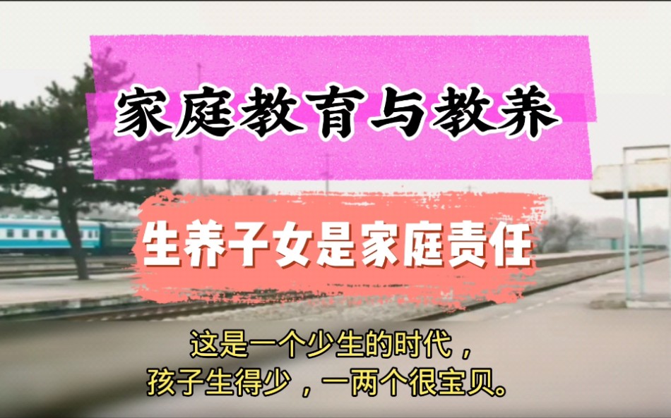 婚姻家庭教育与教养:生养子女是家庭责任爸妈育儿经哔哩哔哩bilibili