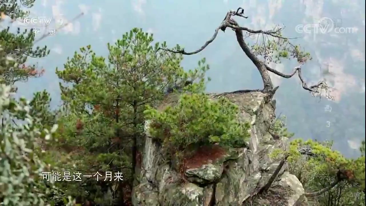 [图]《时代》20180517湘西第一集故乡的凝眸