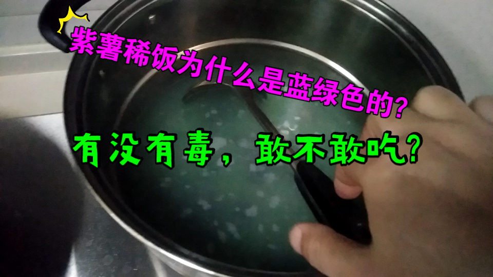 紫薯稀饭为什么是蓝绿色的,这颜色看着有点怕,有没有毒,敢不敢吃?哔哩哔哩bilibili