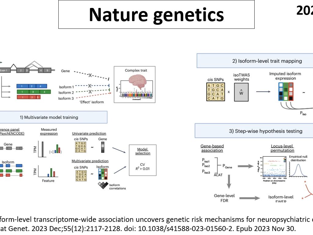 Nature genetics—新型全转录组关联研究分析揭示了未知的神经精神疾病的遗传风险机制哔哩哔哩bilibili