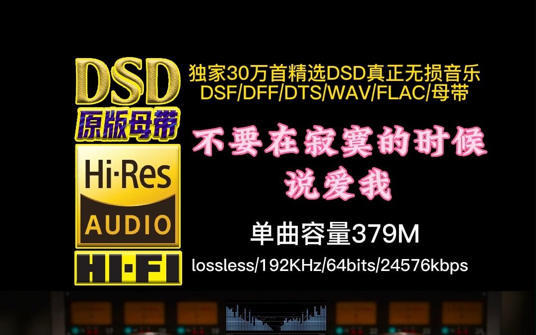 经典伤感情歌:《不要在寂寞的时候说爱我》DSD完整版【30万首精选真正DSD无损HIFI音乐,百万调音师制作】哔哩哔哩bilibili