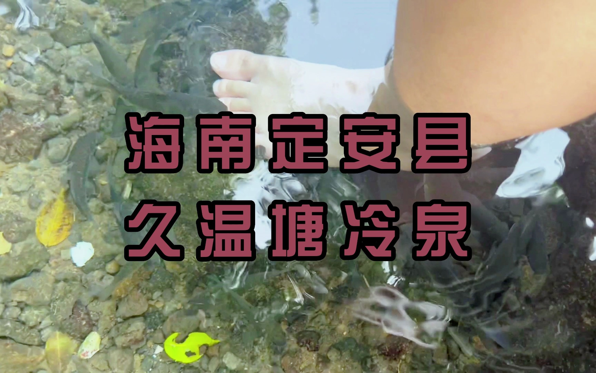 海南定安县久温塘冷泉,领略冷泉的魅力/体验野生鱼疗