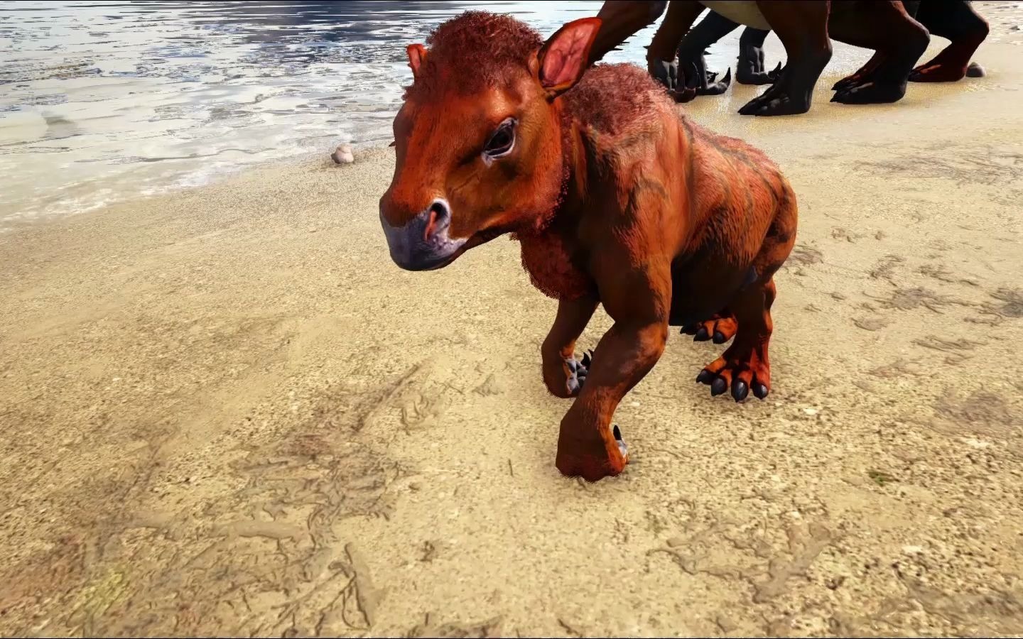 活动作品砂犷兽小二来瓶啤酒加盘火鸡