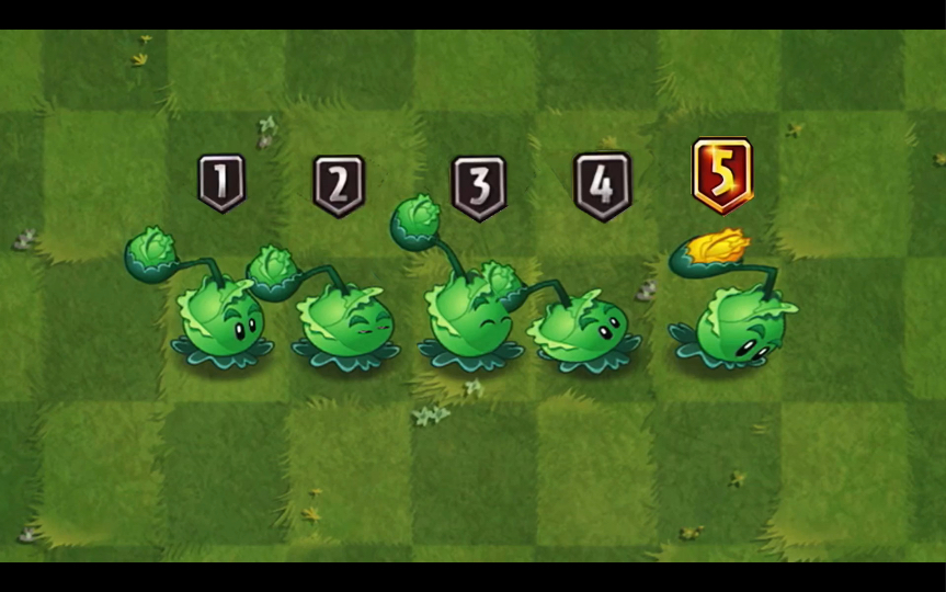 白卡的巅峰卷心菜投手1～5阶测试_哔哩哔哩bilibili_pvz