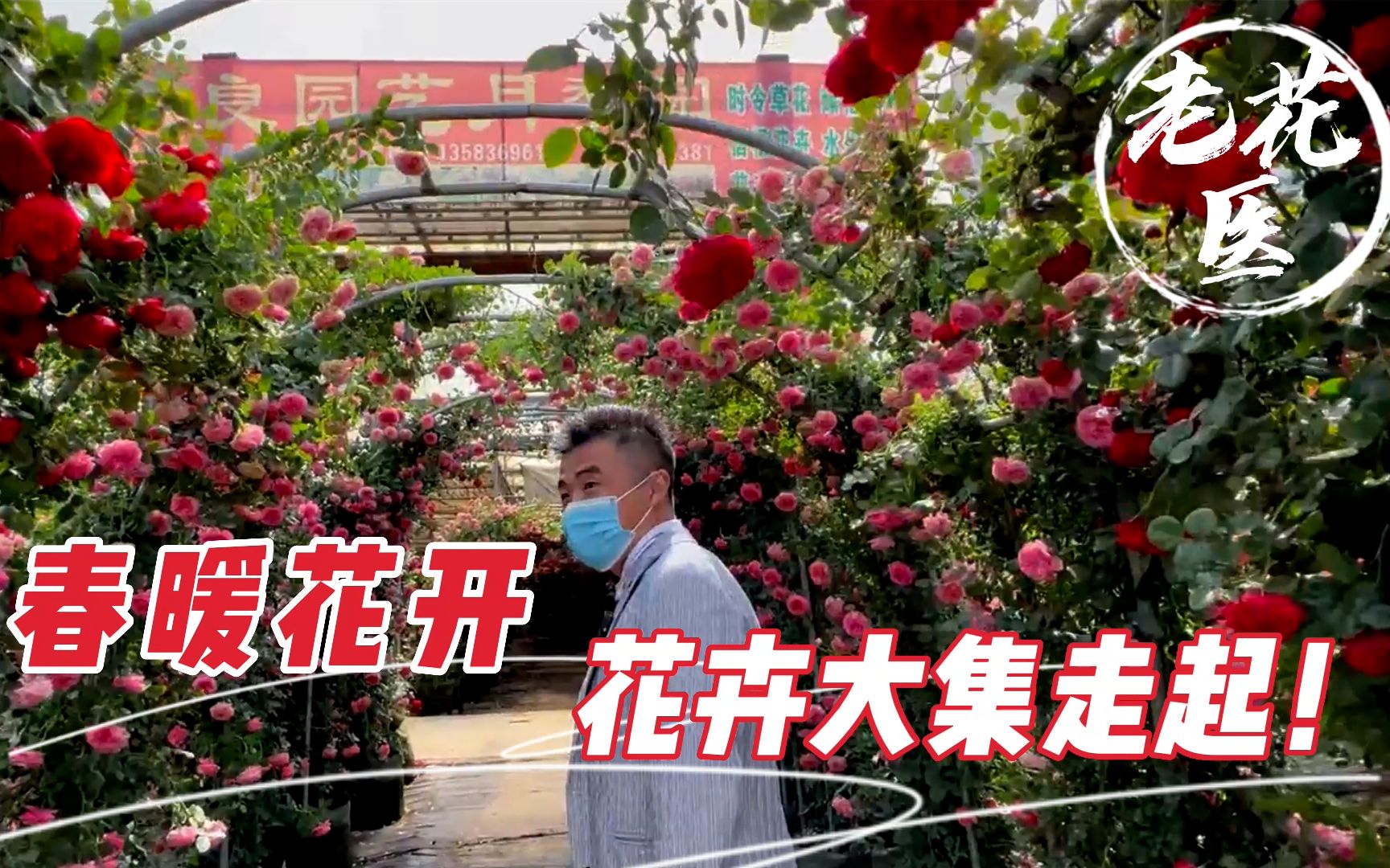 [图]花卉大集重新开放！春暖花开，老花医带您赏花逛大集，走起！