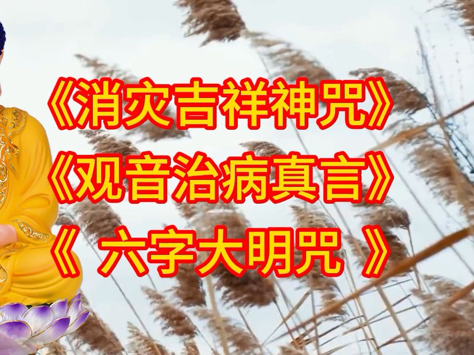 标准原唱《消灾吉祥神咒》《观音治真言》《六字大明咒》哔哩哔哩bilibili