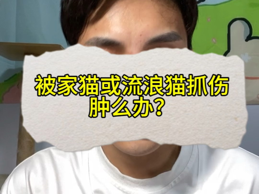 被家猫或者流浪猫抓伤了该怎么办呢~看完这条视频告诉你答案哟!哔哩哔哩bilibili