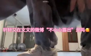 Tải video: 【文轩】好了好了 全世界都知道你们住一起了