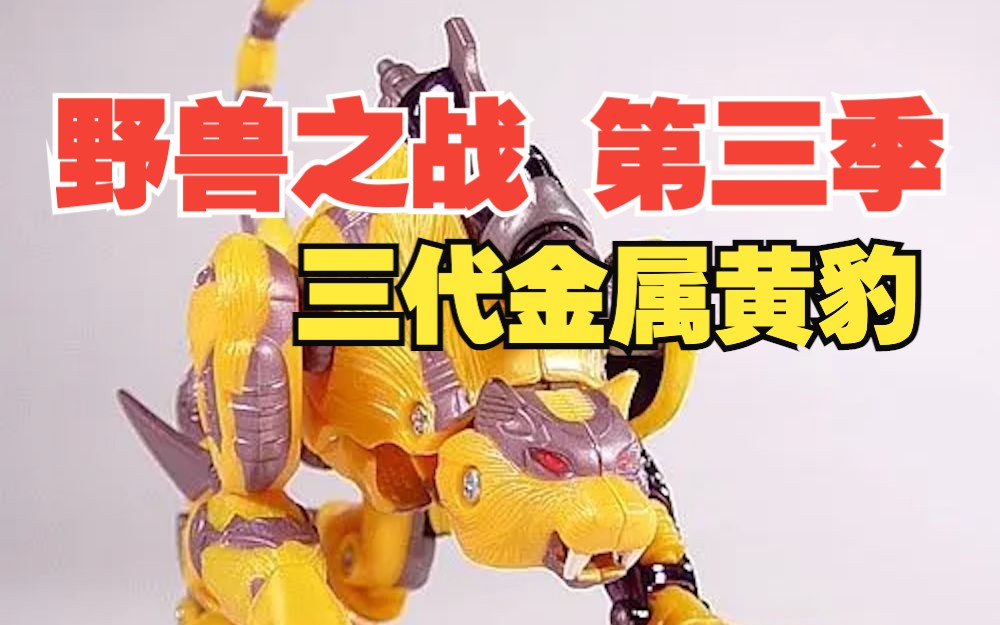 变形金刚编年史【bw 第三季 04 黄豹勇士】