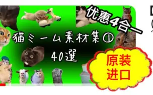 Descargar video: 【搬】日本原装进口猫meme绿幕素材