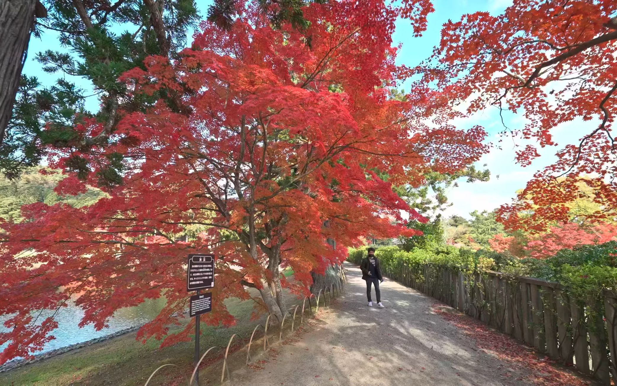 【4K云旅日本】漫步日本岩手县平泉町观赏枫叶与美景哔哩哔哩bilibili