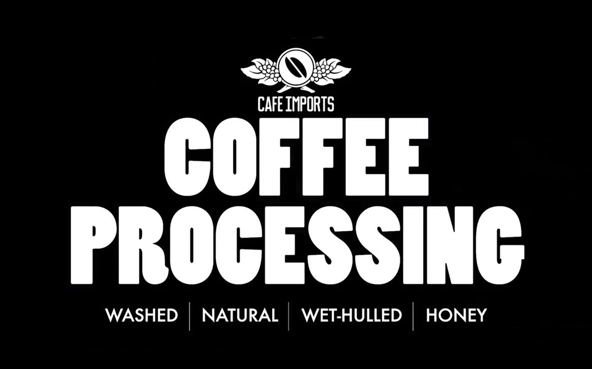wet-hulled coffee processing 湿刨法