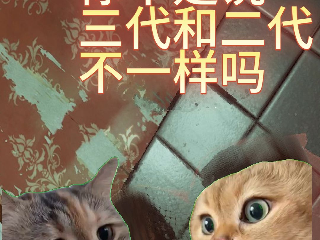 猫猫的收获日日常2