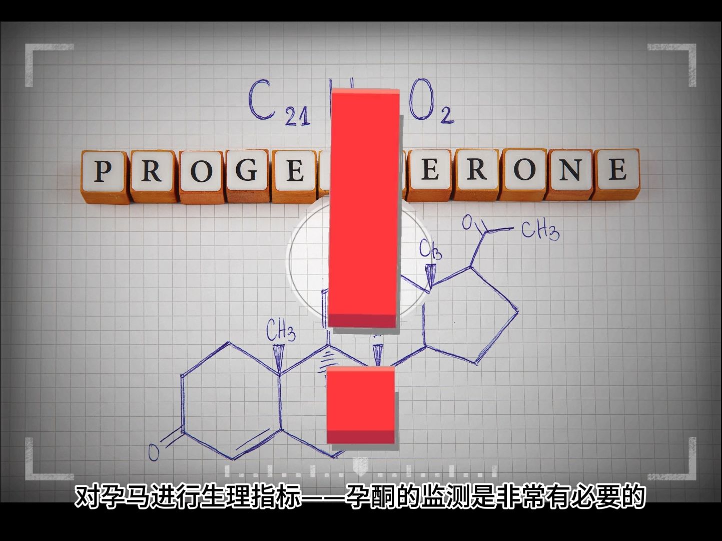 马匹繁育过程中做好这项马孕酮检测,可以有效提高马匹繁育率哔哩哔哩bilibili