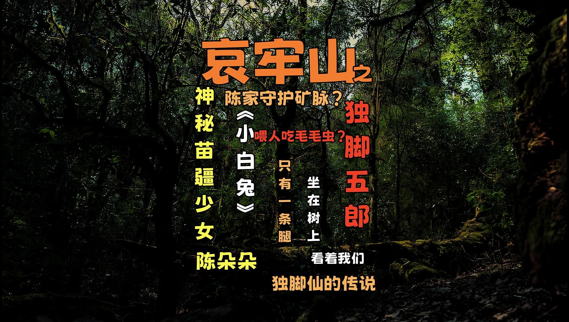 【猫言惑众】哀牢山又火了?苗疆陈朵朵进山两天一夜,独脚五郎的传说哔哩哔哩bilibili