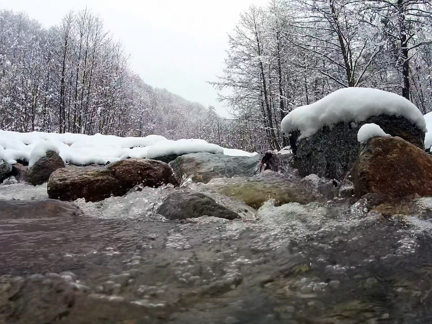 【白噪音】冬日森林下雪真实场景 大自然的溪流之声 适合学习、睡觉、阅读、看书、放松身心灵 哄睡背景音 缓解压力焦虑抑郁紧张情绪 解压助眠 冥想环境...