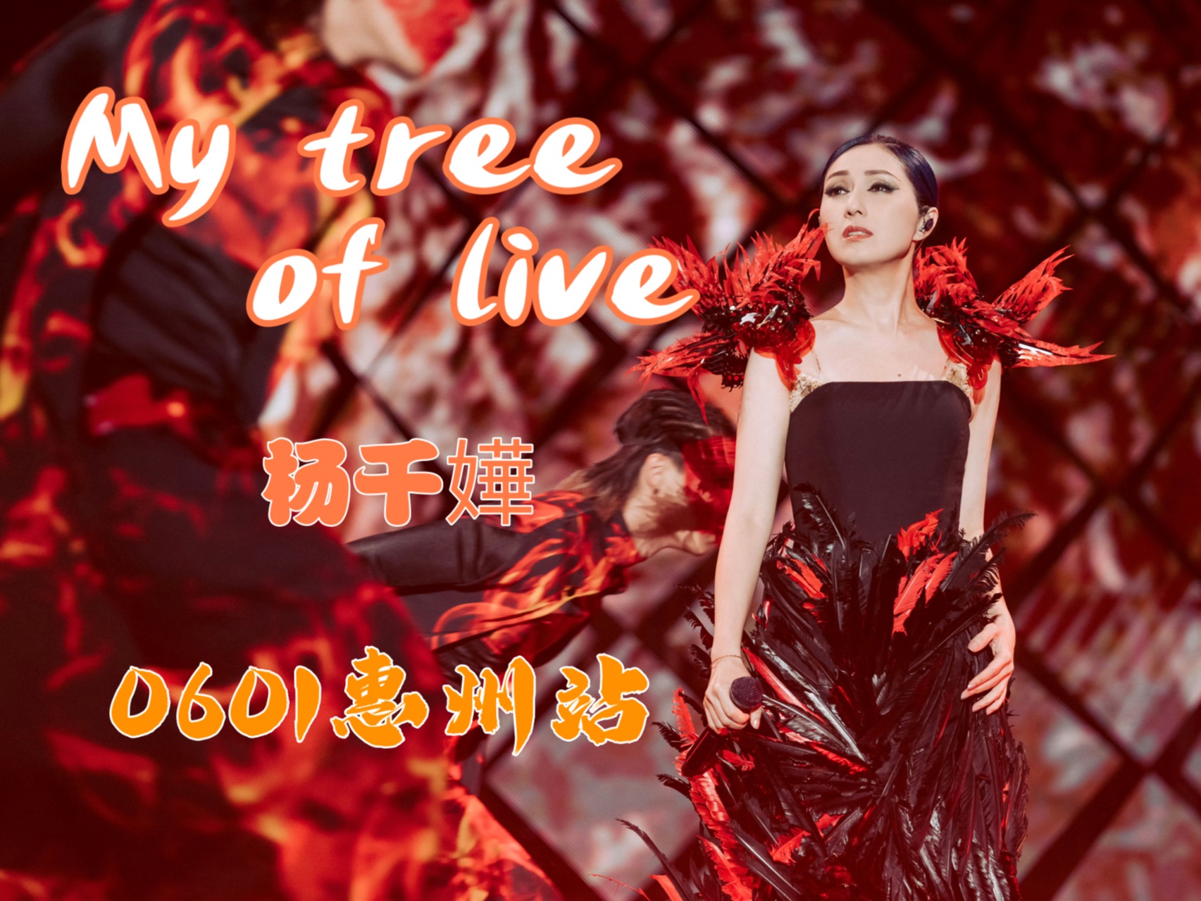 20240601 杨千嬅 my tree of live 世界巡回演唱会 惠州站 4k全程