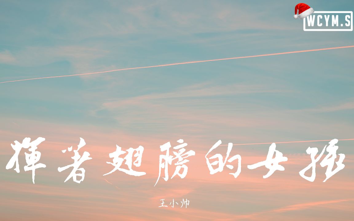 [图]王小帅 - 挥着翅膀的女孩【動態歌詞/Lyrics Video】