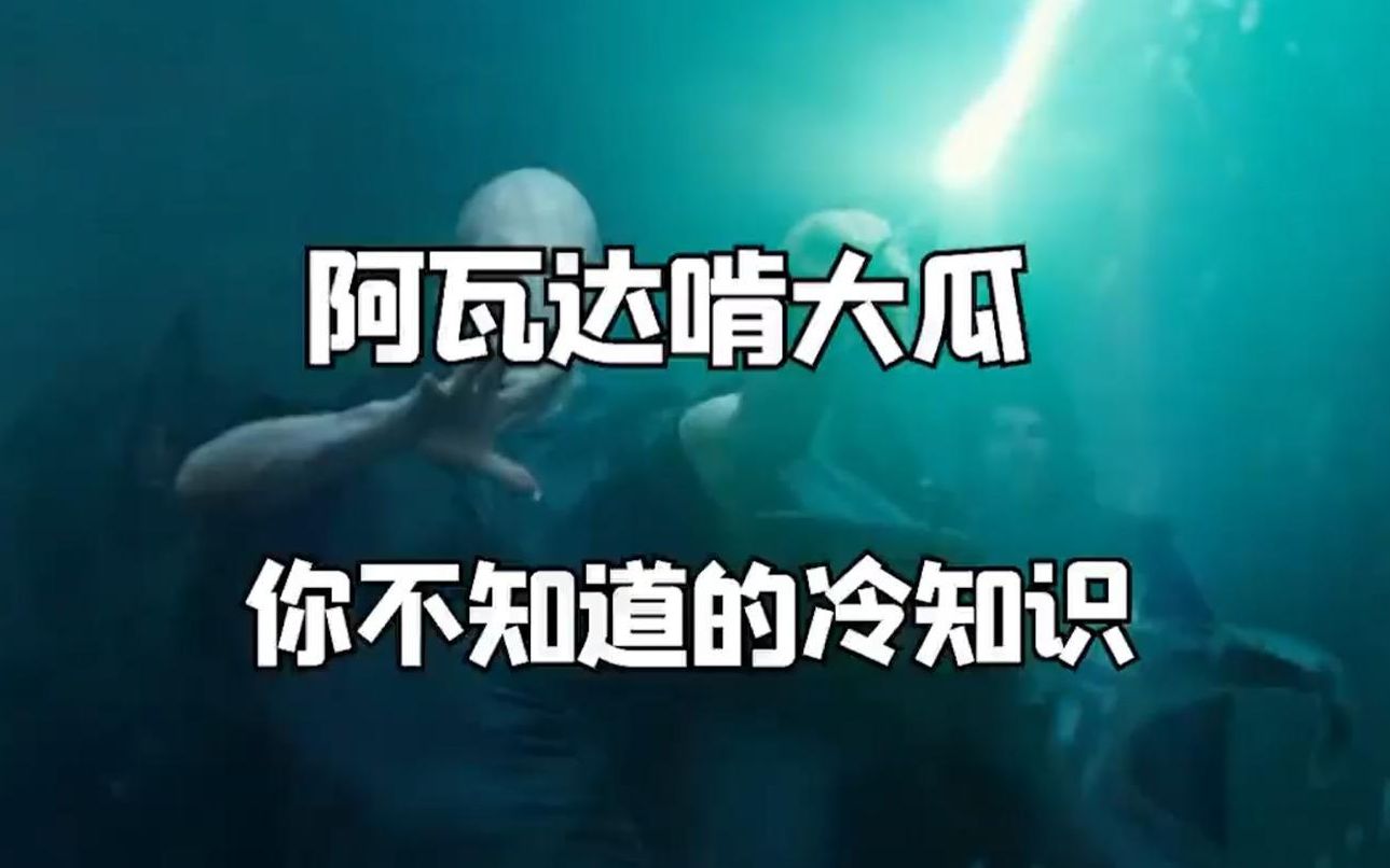 阿瓦达啃大瓜,你不知道的冷知识!