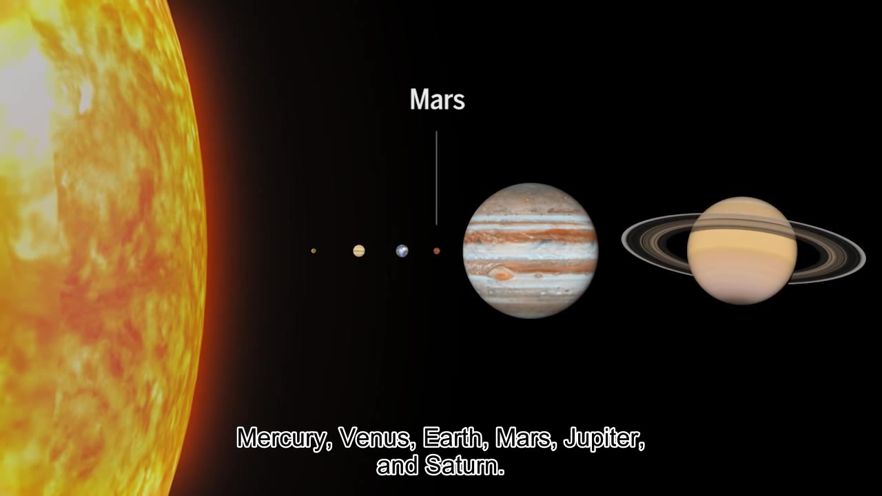 [图]【自然科学】宇宙动物小百科合集【英文字幕】