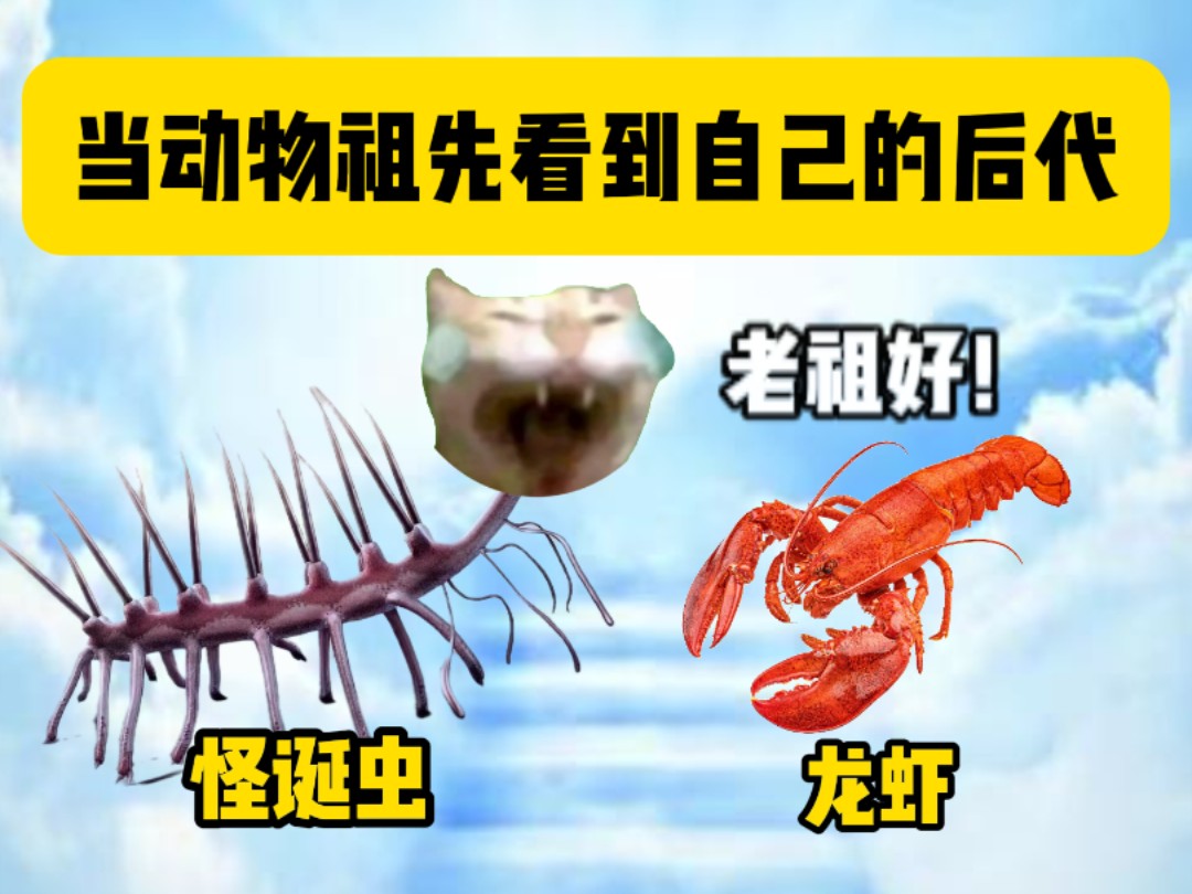 当动物祖先看到自己的后代