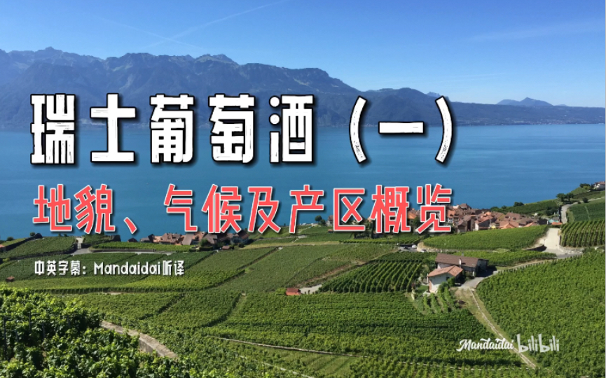 [中英字幕] 瑞士葡萄酒(一)|general introduction to swiss wine_jan