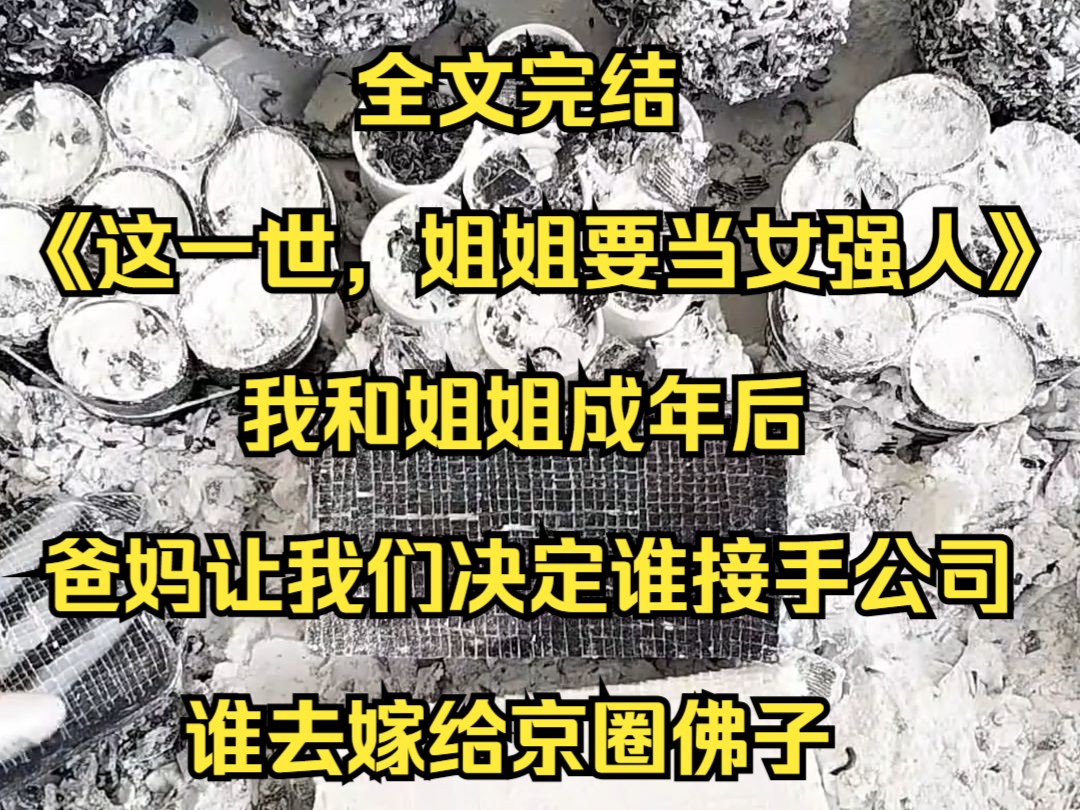 全文完结 我和姐姐成年后,爸妈让我们决定谁接手公司,谁去嫁给京圈佛子哔哩哔哩bilibili