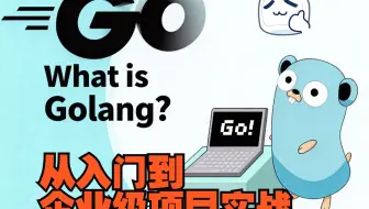 go语言入门+进阶+企业级实战