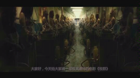 【牧群】无数女人被囚禁虐待,受尽各种折磨沦为生孩子的工具哔哩哔哩bilibili