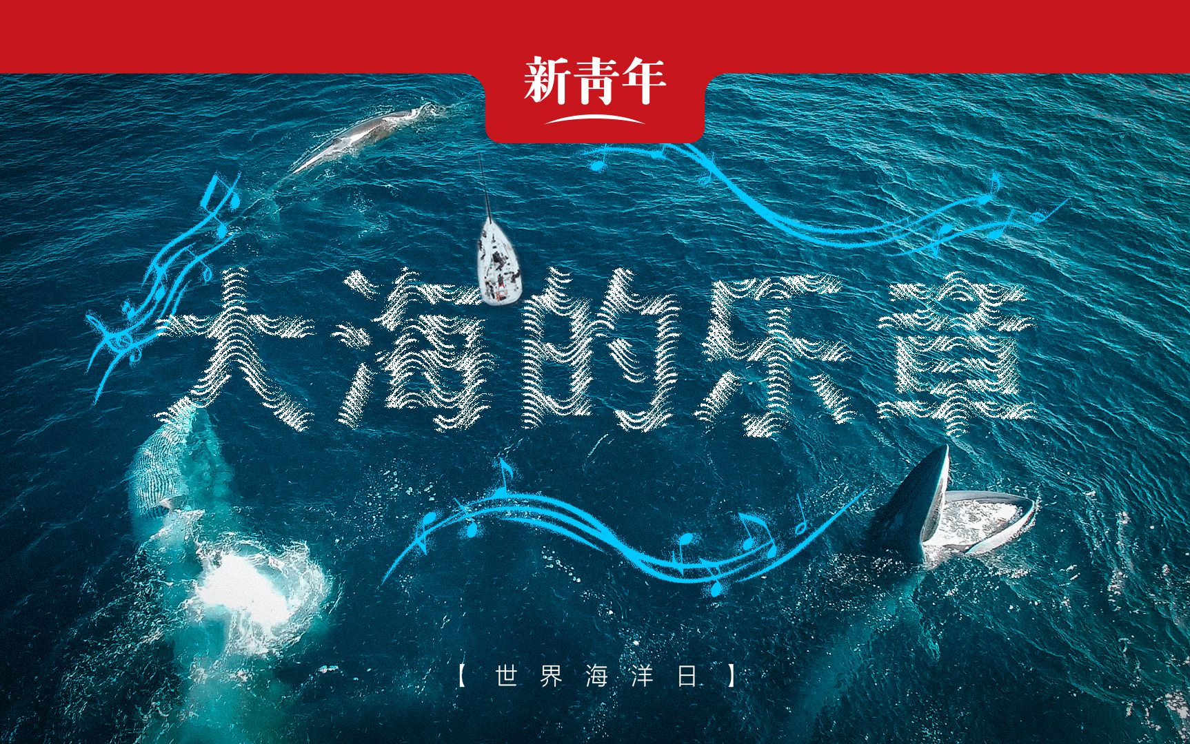 【鲸歌】如何区分鲸鱼与牛蛙