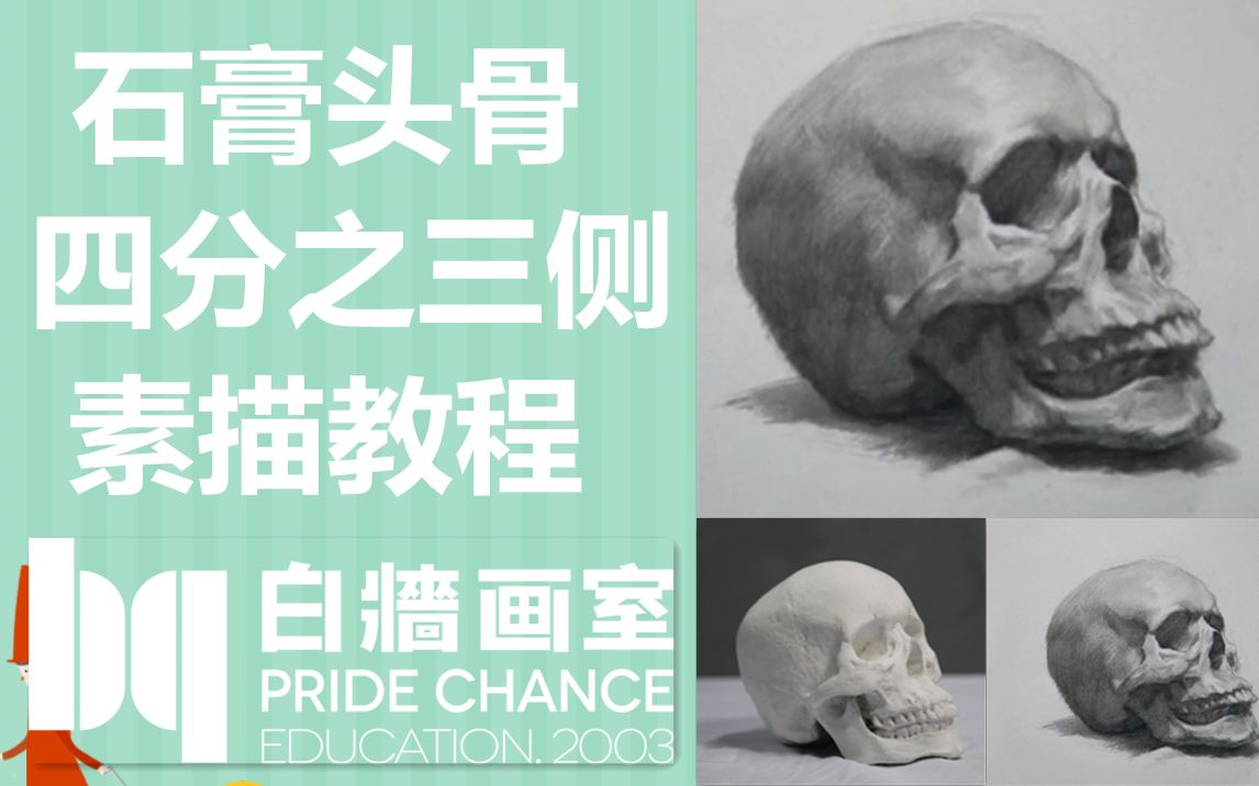素描课程41石膏头骨四分之三侧