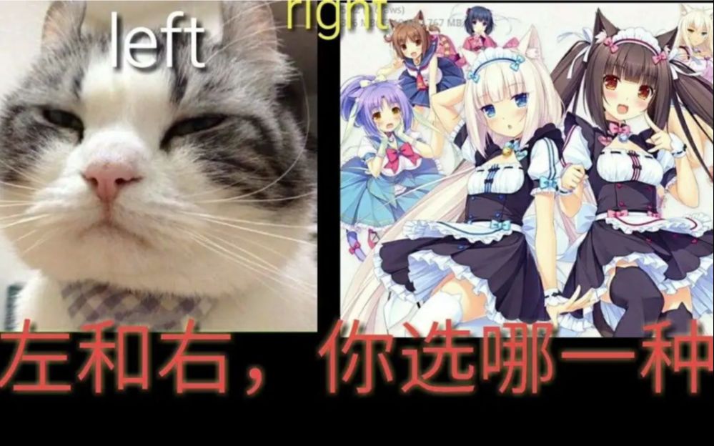 nekopara补丁安装教程单机游戏热门视频