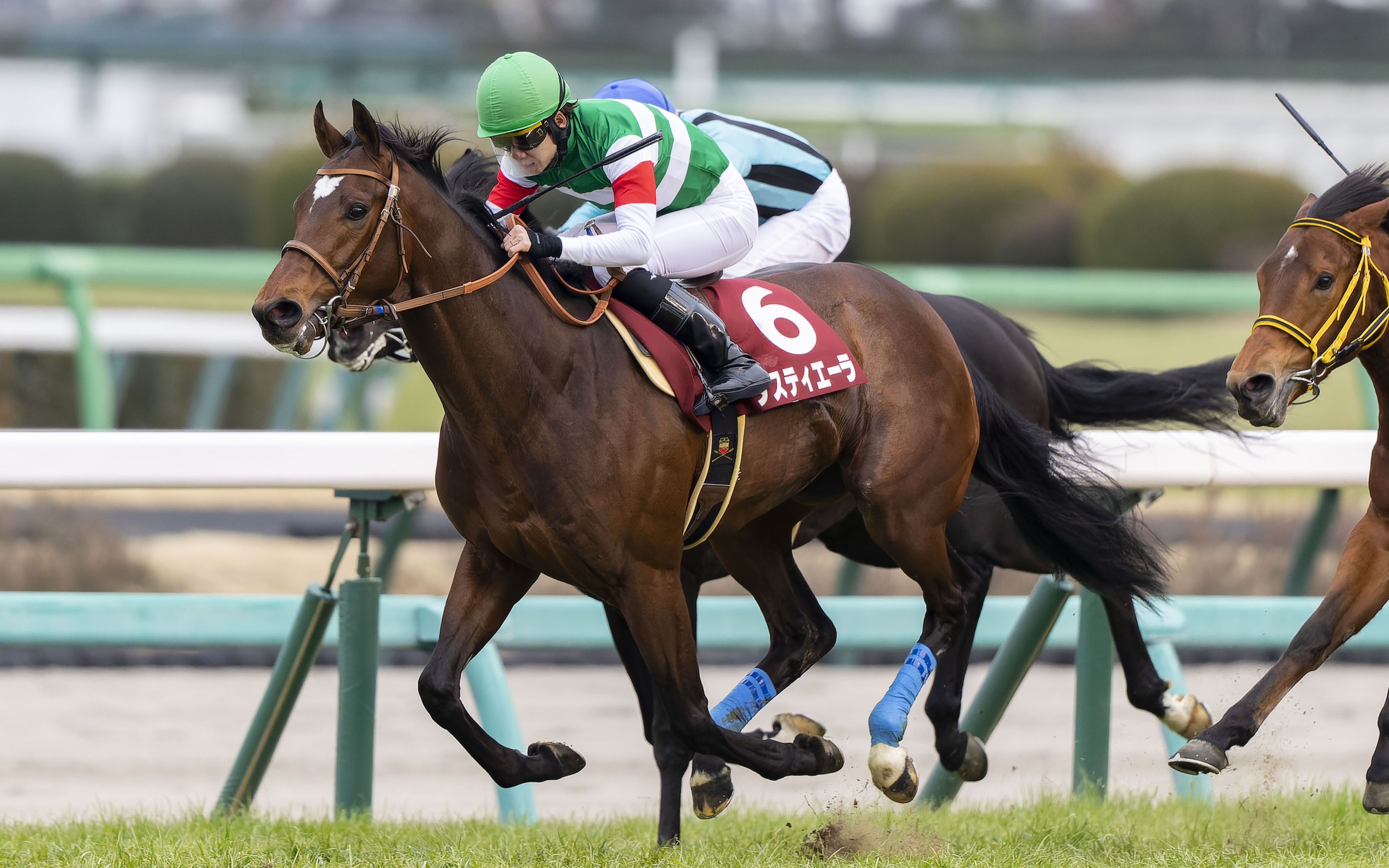【cc字幕】2023年 第60届弥生赏 大震撼纪念 直播剪辑版