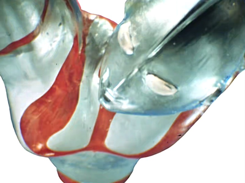 奥特曼vs古维拉