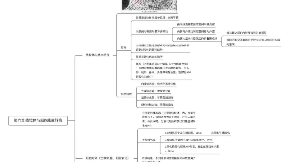 医学细胞生物学,思维导图哔哩哔哩bilibili