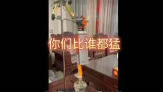 Descargar video: 违规的视频都能过百万