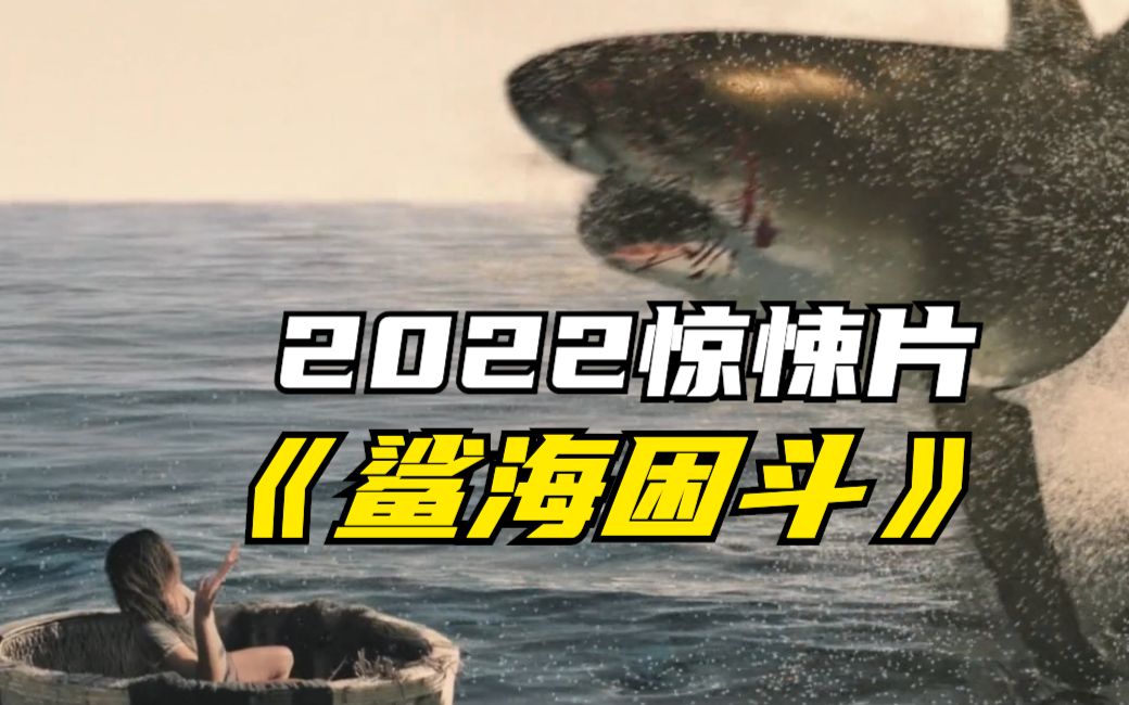 惊悚片《鲨海困斗》夫妻海边度假遭遇鲨鱼袭击,他们能否顺利脱困