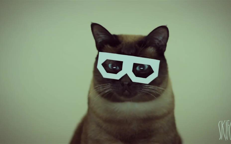 鬼畜猫_哔哩哔哩 (゜-゜)つロ 干杯~-bilibili