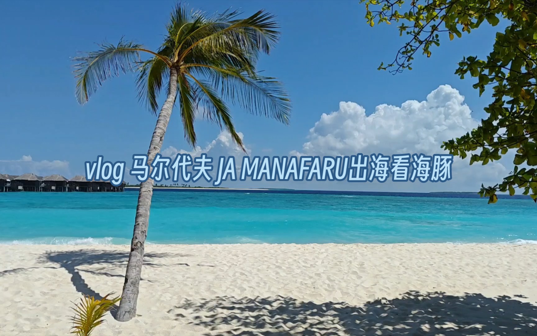 [图]vlog 马尔代夫 JA MANAFARU出海看海豚